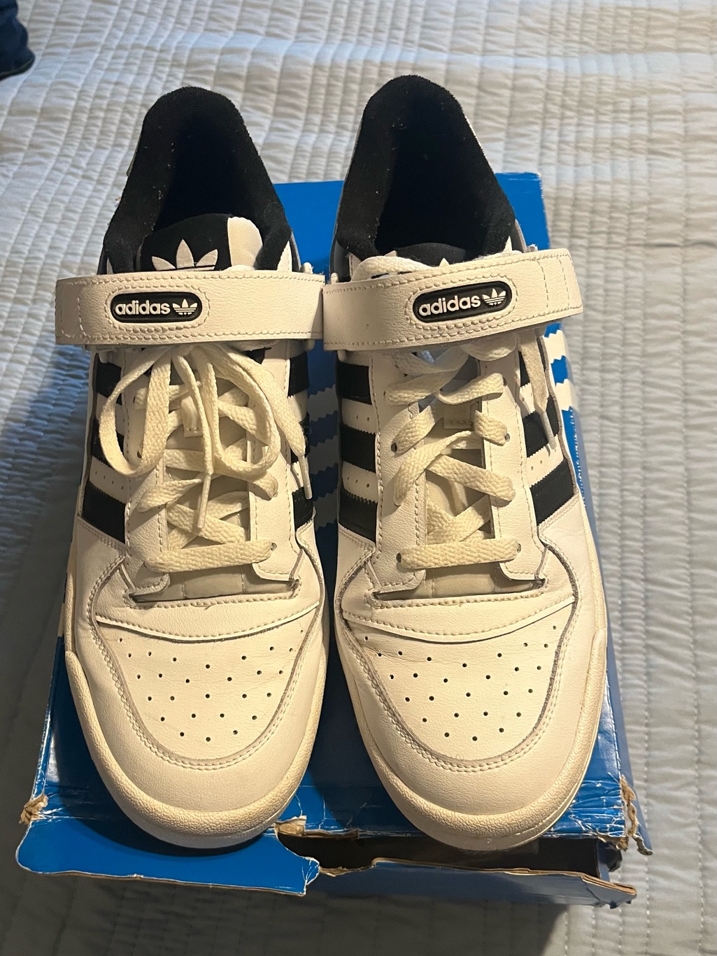 Mens Adidas Low Top Forums Size 11